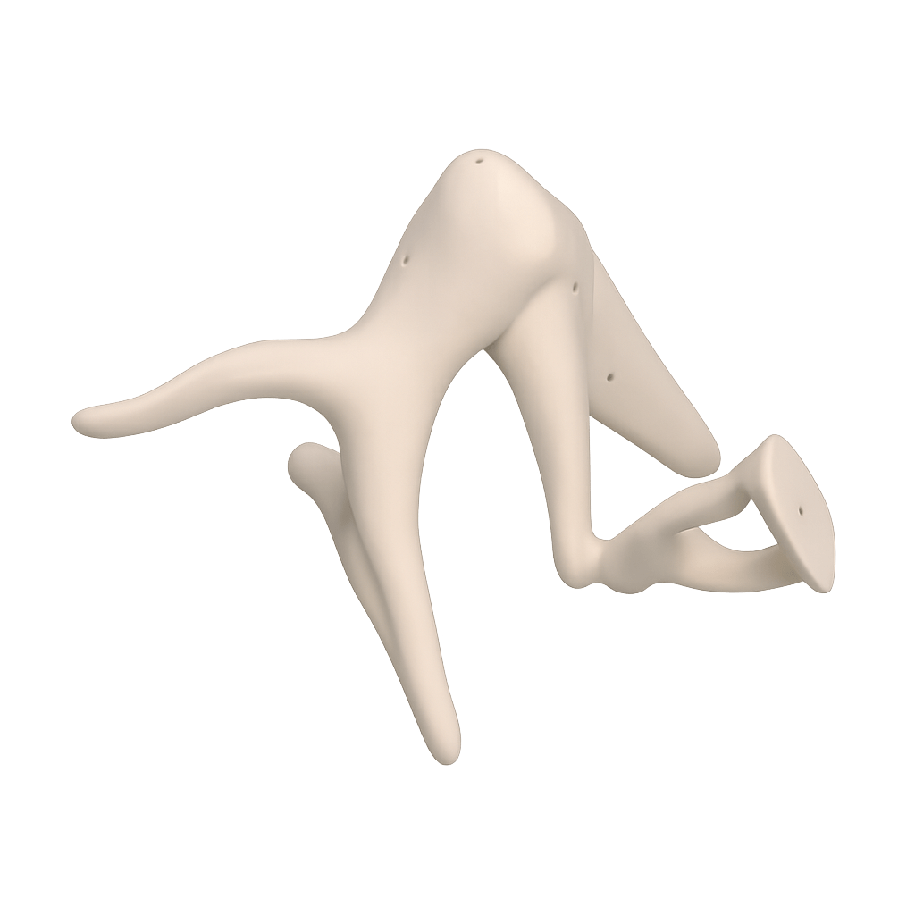 Gehörknöchelchen - Kette - Erler - Zimmer